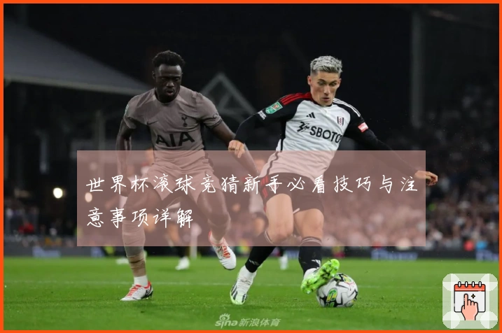 世界杯滚球竞猜新手必看技巧与注意事项详解