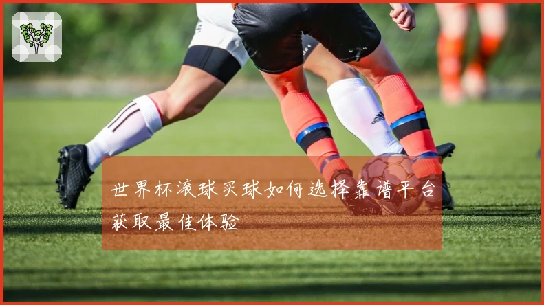 世界杯滚球买球如何选择靠谱平台获取最佳体验