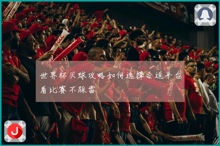 世界杯买球攻略如何选择合适平台看比赛不踩雷