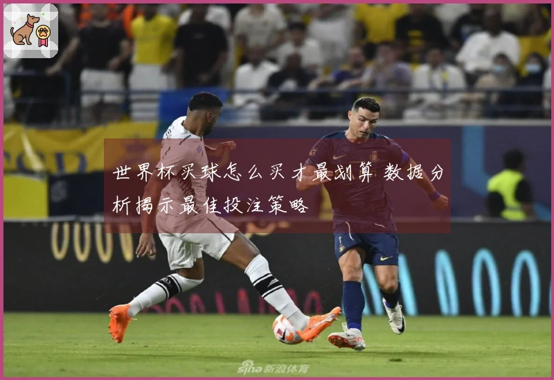 世界杯买球怎么买才最划算 数据分析揭示最佳投注策略