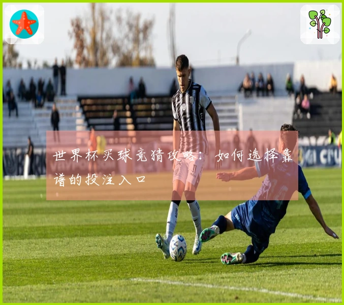 世界杯买球竞猜攻略：如何选择靠谱的投注入口