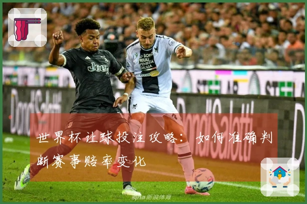 世界杯让球投注攻略：如何准确判断赛事赔率变化
