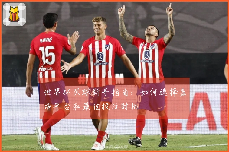 世界杯买球新手指南，如何选择靠谱平台和最佳投注时机